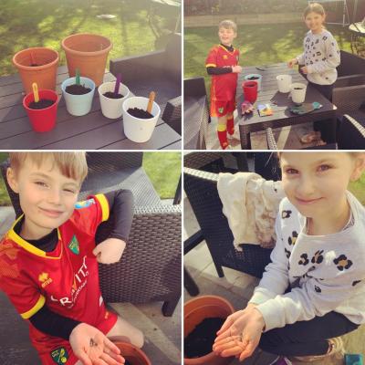Planting seeds
